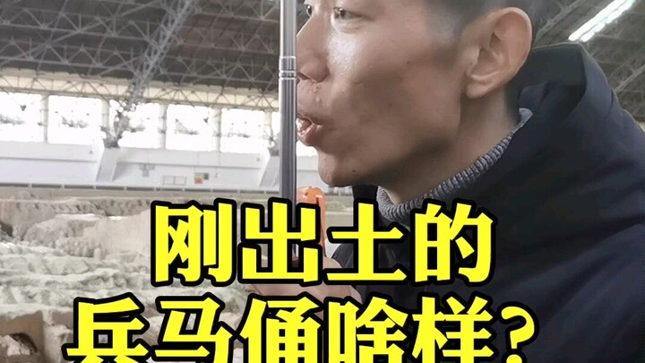 What do the newly unearthed colored terracotta warriors look like?