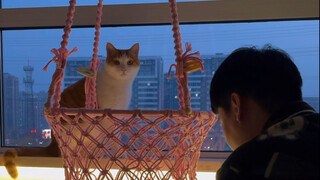猫咪吊篮编制教程