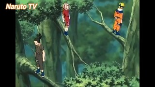 Naruto Dattebayo (Short Ep 70) - Mồi nhử? #naruto