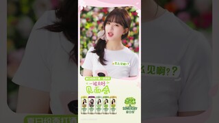 #zhaolusi X Somersby Update 240410