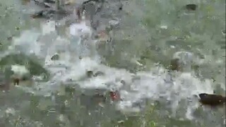 นักตกปลา: ขอบคุณนะ ฉันไม่มีเมีย จับไว้ก่อนเพื่อแสดงความเคารพ!