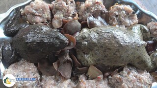 ẾCH NẰM MIỆNG GIẾNG | Hội Ngộ Miền Tây - Tập 172