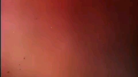 RAYMART SANTIAGO | PITA: TERROR NG CALOOCAN (1993) FULL MOVIE