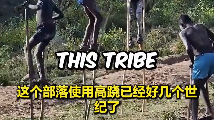 因为太怕蛇，整个部落的人都学会了踩高跷