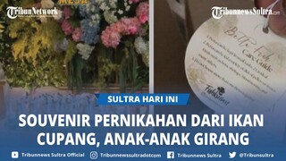 Viral, Souvenir Pernikahan dari Ikan Cupang di Tangerang Selatan, Anak-anak Girang!