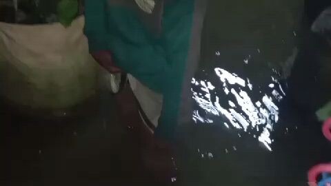 banjir