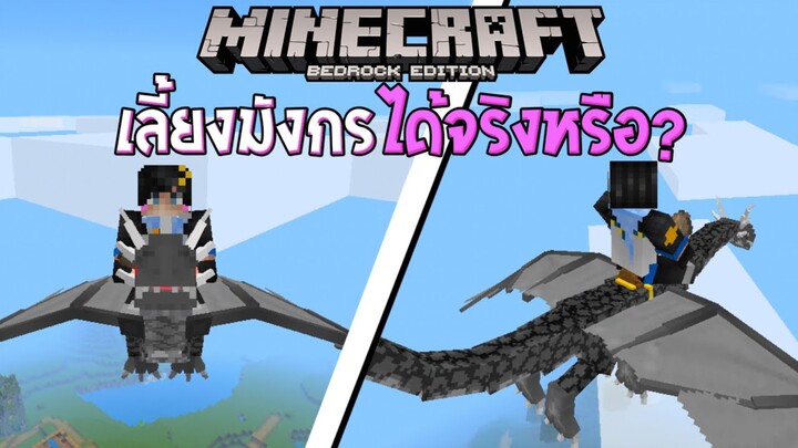 ถ้าเราสามารถขี่มังกรได้ ในเกมส์มายคราฟ 1.17.X | Minecraft