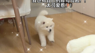 在线等大家取名字！！哈哈哈太开心啦