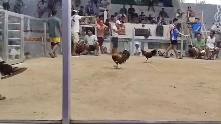 Airwolf x Blueface 3x