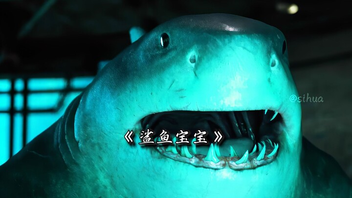 It’s rare to see such a cute and domineering baby shark!