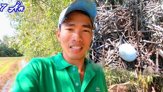 Bữa Nay Xanh Lét - 7 Ân