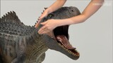 คืนค่าจูราสสิคเวิลด์ 3 หรือไม่? เป็นไปได้ไหมที่ Ben Xinnan จะเปลี่ยน Giganotosaurus?