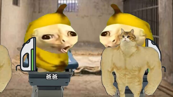 Sungguh cara yang hebat untuk mengubah sampah menjadi harta karun! (tindak lanjut)