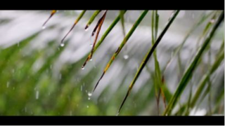 A Rainy Day in Kerala