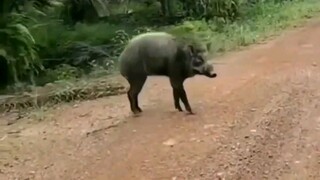 Di tempat kalian apa namanya ?