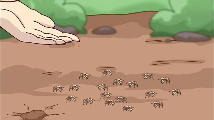 It turns out that cicada nymphs are “planted” in the soil.