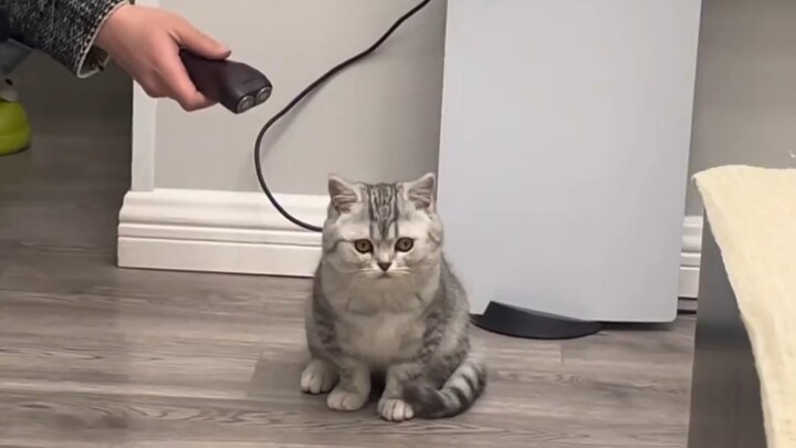 Lần đầu tiên cảm nhận được lòng người hiểm ác