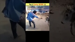 Top 4 Funny जानवर 😂 | देखकर चौंक जाऔगे 😁 | #shorts #funny #animal