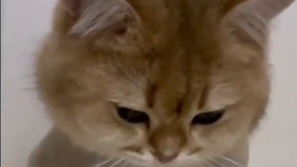 Just like a naked man!