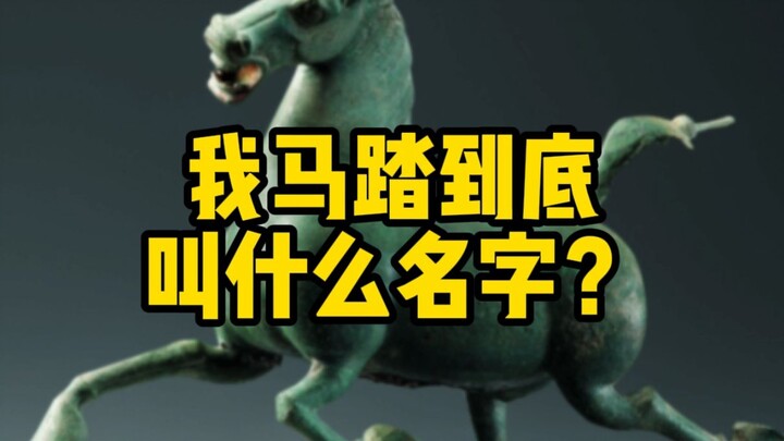 Cổ Miêu丨Tên của tôi khi phi ngựa là gì?!