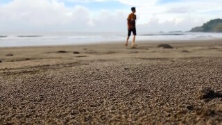 mancing pantai pecaron