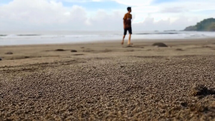 mancing pantai pecaron