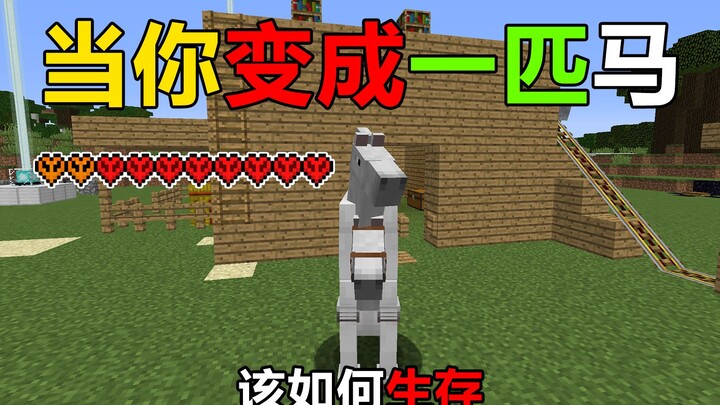 How do you survive by acquiring all the traits of a horse? Minecraft Transformation Survival #5