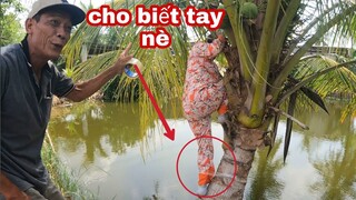 Thua Keo Này Bài Keo Khác Tư Cà Khịa Vẫn Thua Sáu Sành