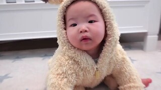 半岁宝宝的宝可梦抓周，会选择谁呢？【Ellen和Brian】