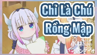 Chỉ Là Chú Rồng Mập