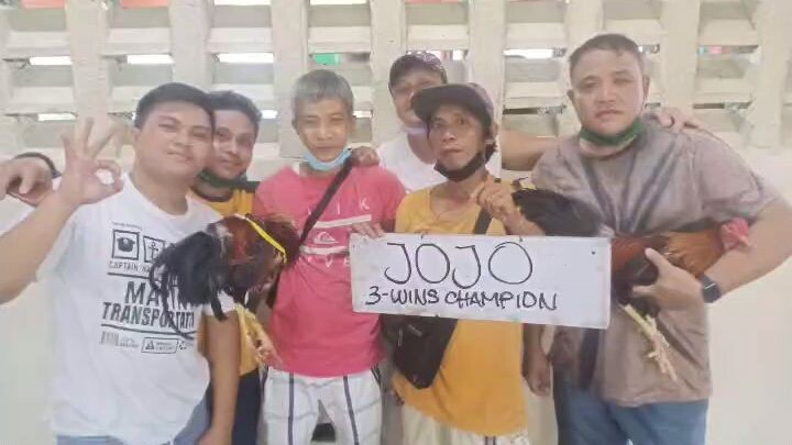 Champion 2022 3 cock texas