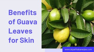 Benefits of Guava Leaves for Skin A Natural Path to Radiant Beauty