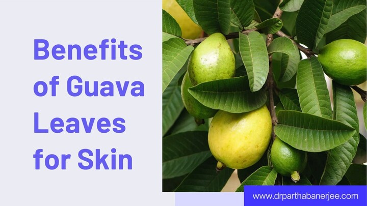 Benefits of Guava Leaves for Skin A Natural Path to Radiant Beauty