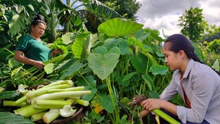 Canh Bon Tây Bắc Chuẩn Vị Mẹ Nấu. Ẩm Thực Tây Bắc | Bếp Vùng Cao