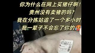 "你们都在网上买过什么令人费解的玩意儿？"