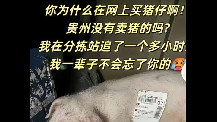 "你们都在网上买过什么令人费解的玩意儿？"