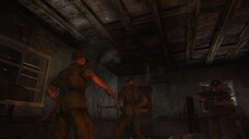 CoD waw in veteran 2