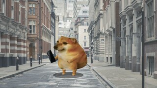 ความแตกต่างระหว่างเด็กผู้ชายและเด็กผู้หญิงในการรู้ทางนั้นเหมือนกับของฉันทุกประการ