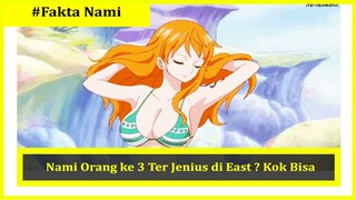 FAKTA TENTANG NAMI SEBAGAI ORANG JENIUS KE 3 DI EAST BLUE | 2020