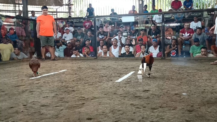 entry name : loloy feb 24 1st fight vs gentle man from valencia.                      3/2 tawagan