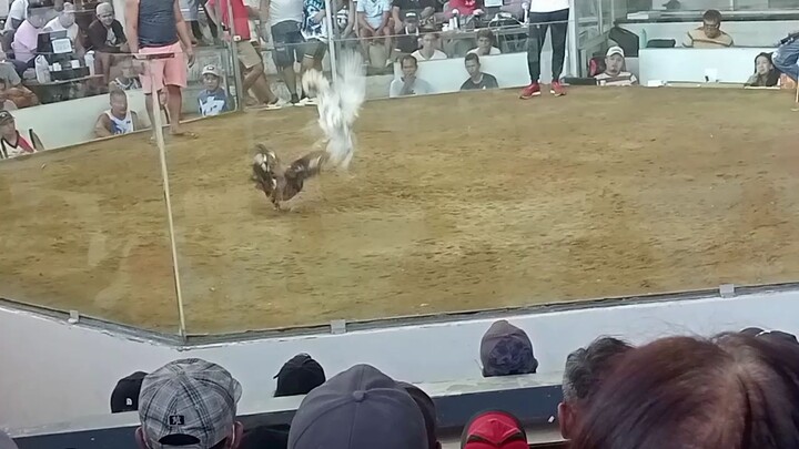 bugbug yung bulik namen pero panalo pa