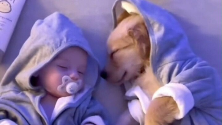 A Promise to Grow Up Together: Baby and Dog