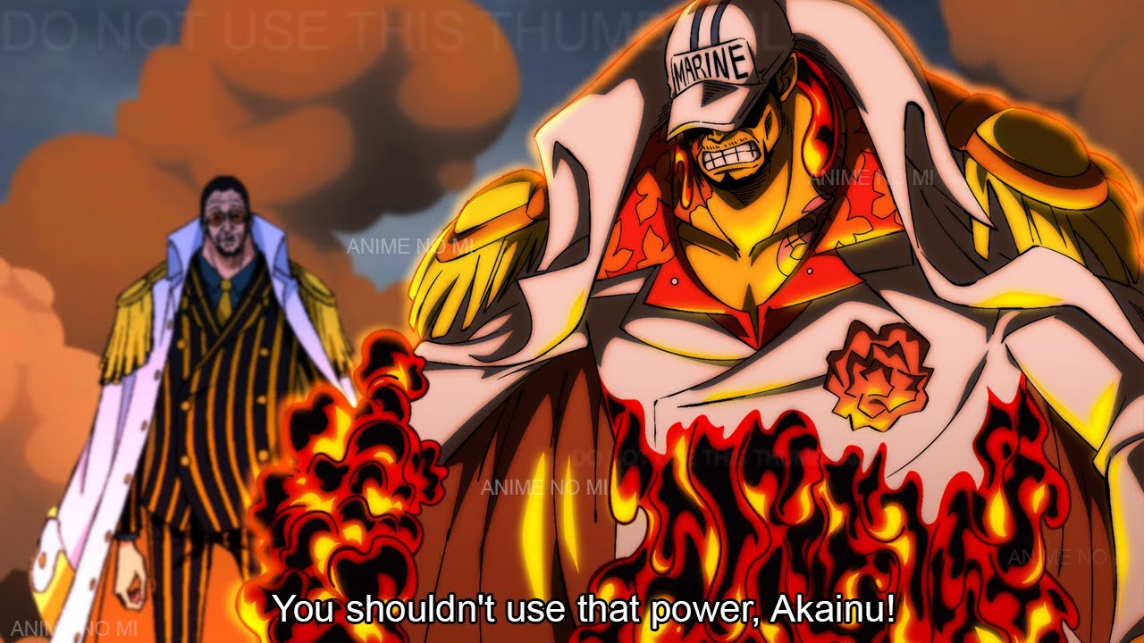 Akainu's Reaction After Finding Out Luffy Defeated Kaido and Became More  Powerful - One Piece - BiliBili