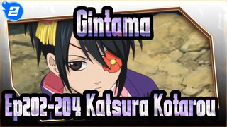 [Gintama] Potongan Ep202-204 Katsura Kotarou_A2