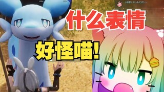 Mèo Cam Thành vuốt ve Chồn Lốc và hét lên! Biểu hiện của bạn là gì?