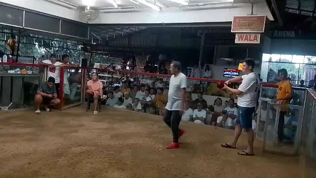 Boston black. unang bitaw ko sa ruweda sinamahan pa ng swerte ✌jegs backyard tiktok &fb