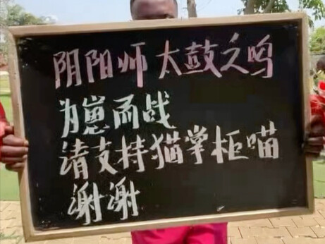 崽战请支持猫掌柜喵！