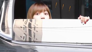 可盐可甜的皮皮莎，咬话筒的那刹那也太可了~#lisa #金志文的自娱自乐