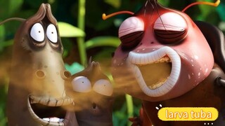 larva gokill kocakk