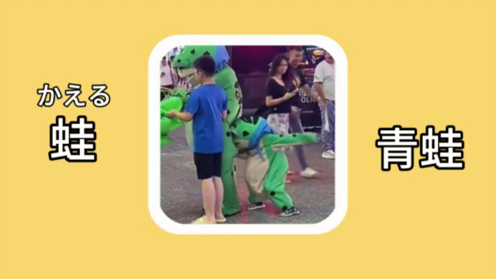 【คำศัพท์ภาษาญี่ปุ่น】กะเอรุ (かえる) : กบ